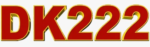 dk222 game logo